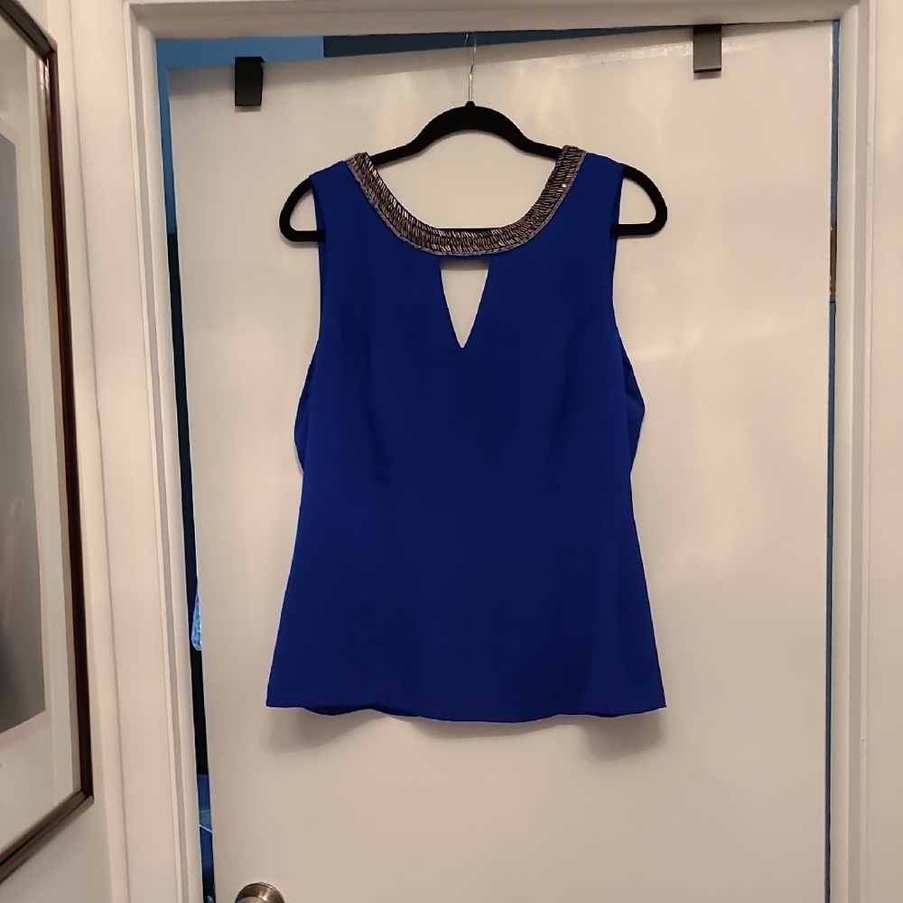 Blue Embellished Sleeveless Blouse